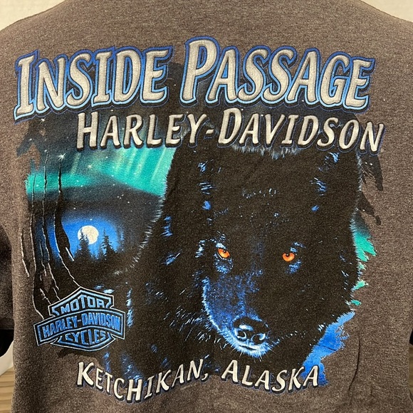HARLEY DAVIDSON ALASKA GRAY TEE SHIRT MENS SIZE XL - Picture 2 of 12